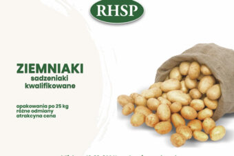 ZIEMNIAKI SADZENIAKI KWALIFIKOWANE