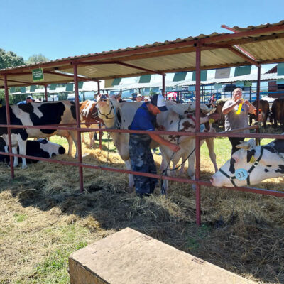 X Podhalańska Wystawa Zwierząt Hodowlanych RHSP 8-9 lipca 2023 r.