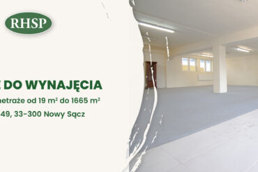 lokale do wynajęcia